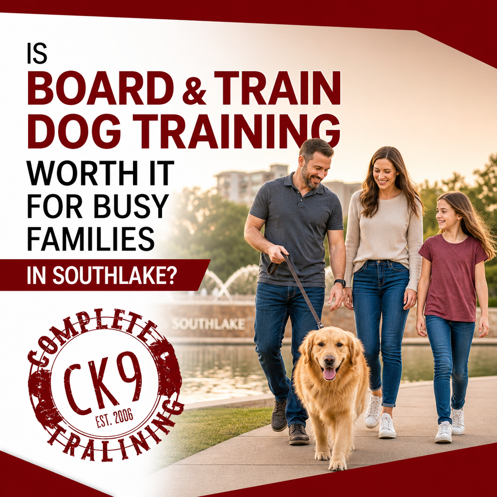 Is Board and Train Dog Training Worth It for Busy Families in Southlake?
