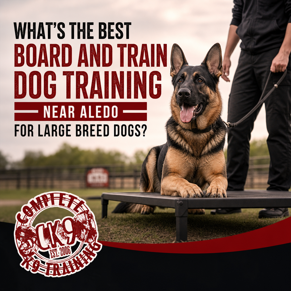What’s the Best Board and Train Dog Training Near Aledo for Large Breed Dogs?