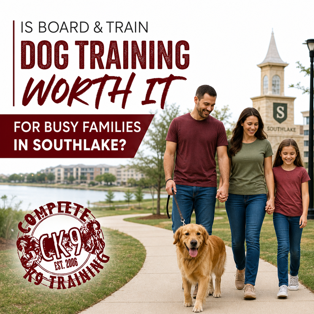 Is Board and Train Dog Training Worth It for Busy Families in Southlake?