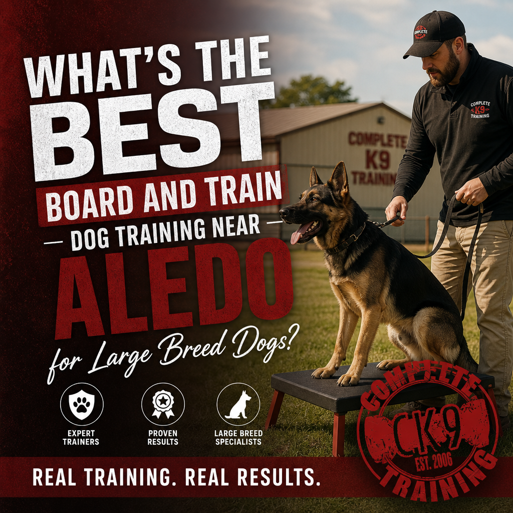 What’s the Best Board and Train Dog Training Near Aledo for Large Breed Dogs?