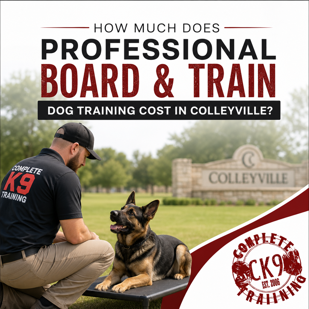 How Much Does Professional Board and Train Dog Training Cost in Colleyville?