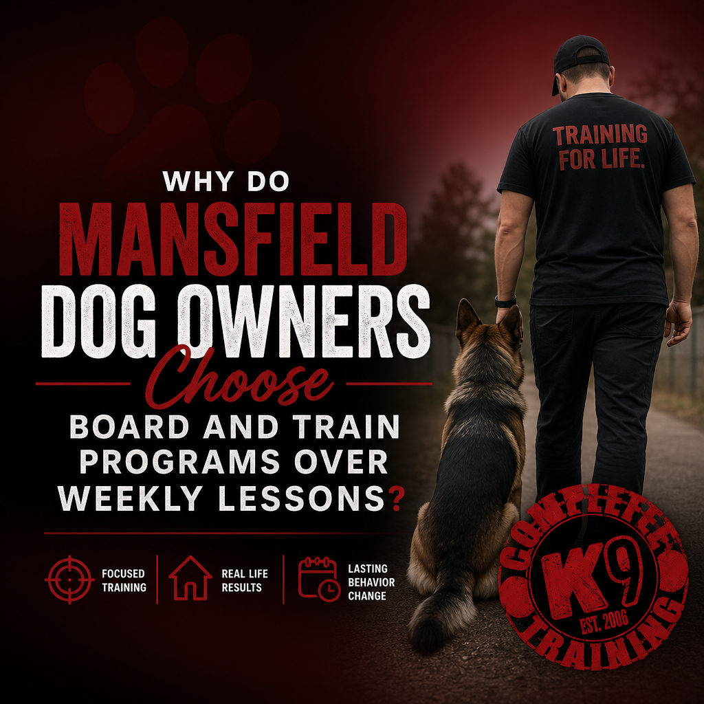 Why Do Mansfield Dog Owners Choose Board and Train Programs Over Weekly Lessons?
